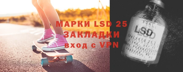 крисы Каменка