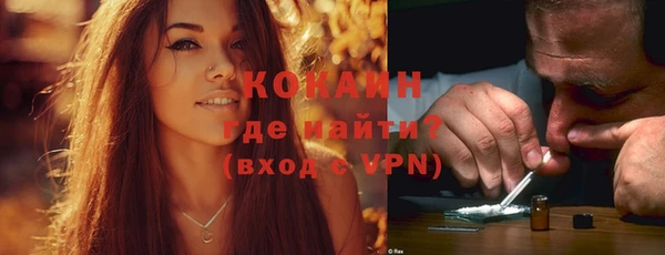 крисы Каменка