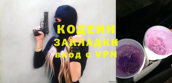 крисы Каменка