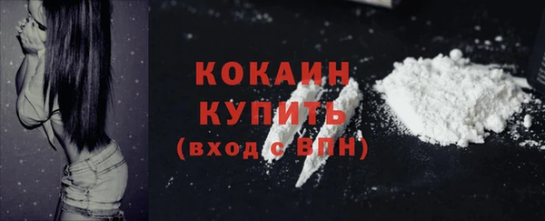 крисы Каменка