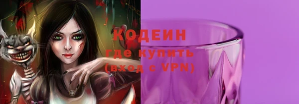 крисы Каменка