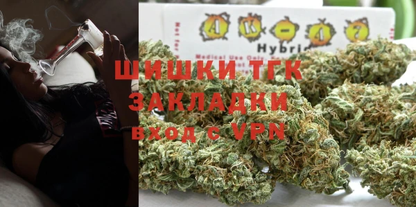 крисы Каменка