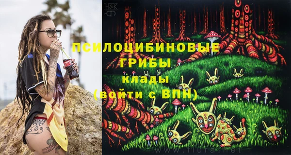 крисы Каменск-Шахтинский