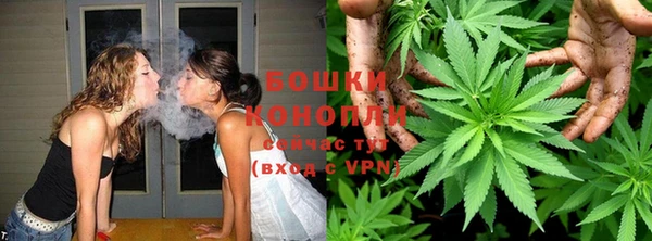 крисы Каменка