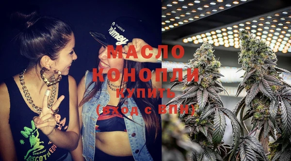 крисы Каменка