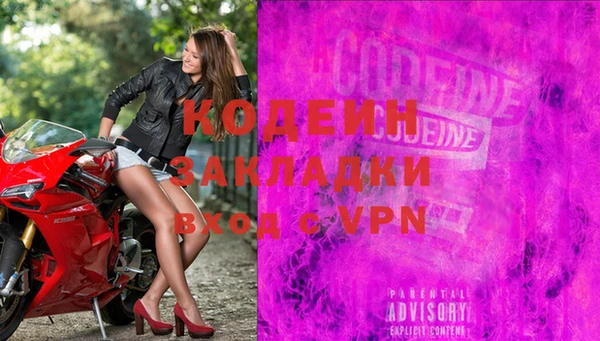 крисы Каменка