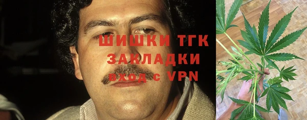 крисы Каменка