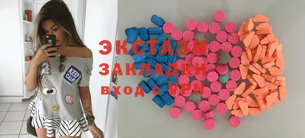 крисы Каменка