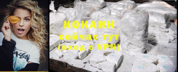 mdpv Каменногорск