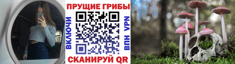 Псилоцибиновые грибы Magic Shrooms  Купить где  Котельники 